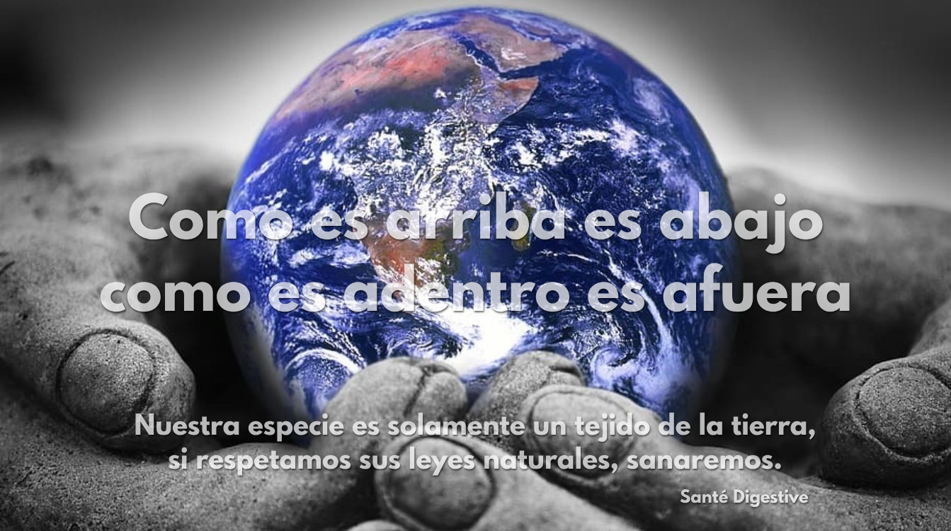 Manos pétreas sostienen la Tierra viva, simbolizando la conexión entre el estado del planeta y la salud humana.